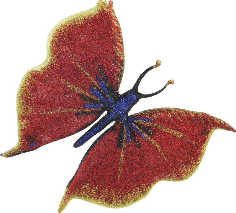 Crimson Splender Butterfly