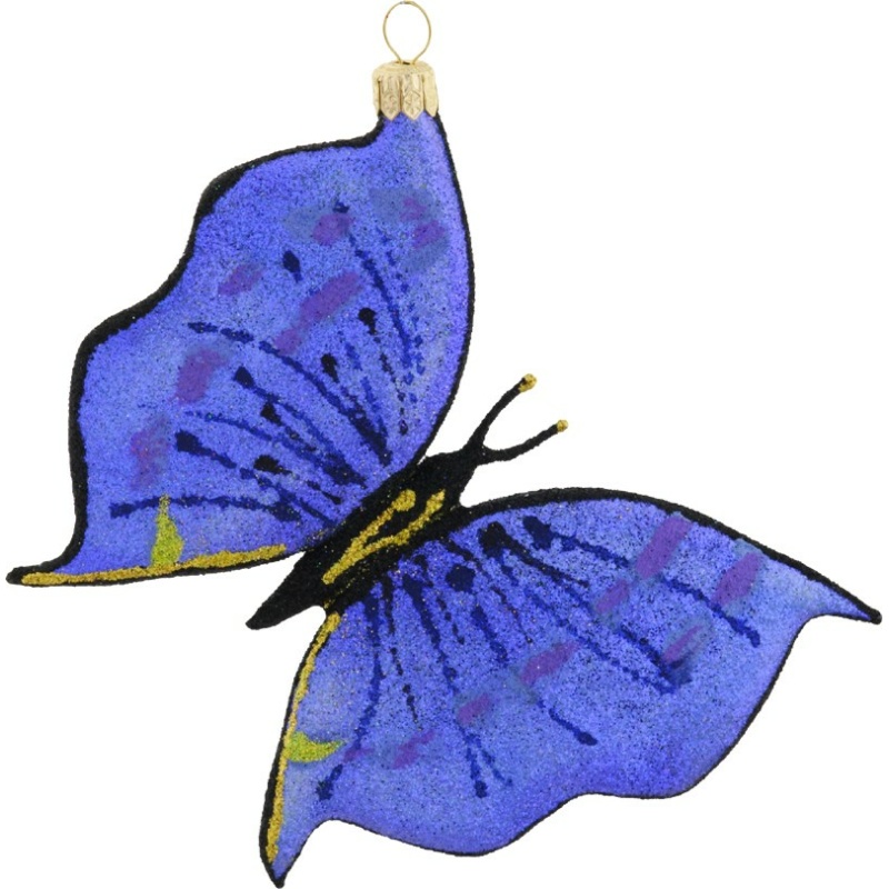 Rhapsody in Blue Butterfly