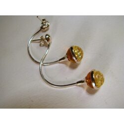 Two colors Baltic Amber Earrings