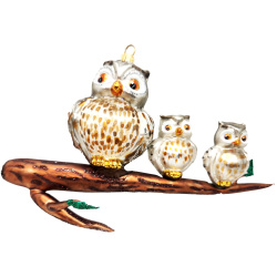 Three is company owls on a branch